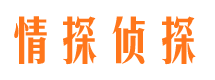 宁强外遇出轨调查取证